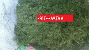 خرید و فروش سبزیجات خشک