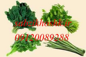 خرید و فروش سبزیجات خشک 
