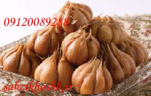 فروش ترشی سیر 7 ساله 