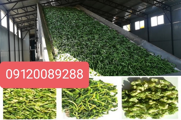 کارخانه سبزی خشک کنی اصفهان