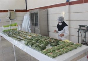 شرکت تولیدی سبزی خشک 