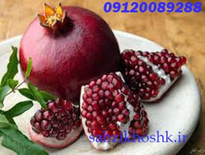 خرید عمده رب انار اصل 