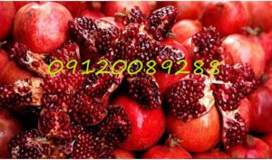 فروش رب انار ملس عمده 