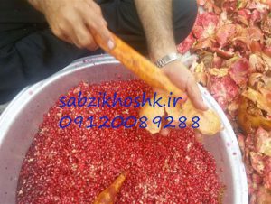 مرکز فروش اینترنتی رب انار 