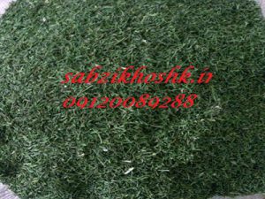 فروش شوید خشک سرگل