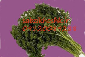 فروش جعفری خشک فله 