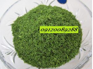 فروش شوید خشک سرگل