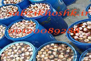 فروش اینترنتی ترشی