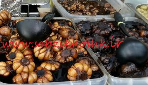 تولید ترشی سیر طارم