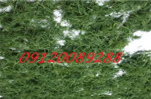 خرید اینترنتی سبزی خشک