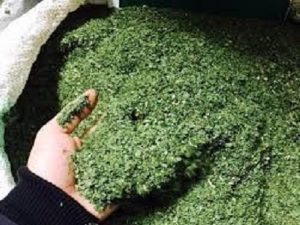 فروش سبزیجات خشک اصفهان