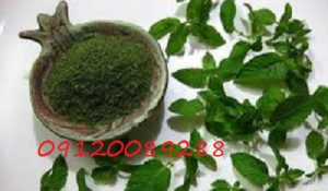 فروش اینترنتی نعناع خشک