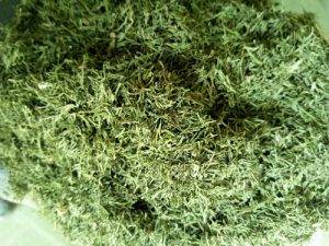 قیمت سبزی خشک ۹۸