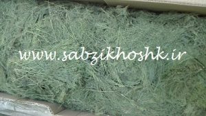 پخش عمده شوید خشک