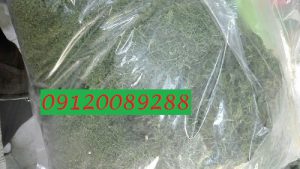 پخش عمده شوید خشک