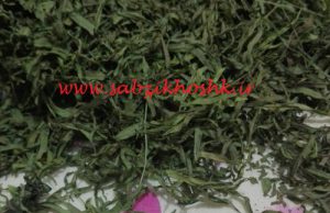 فروش عمده ترخون خشک