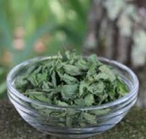 مرکز پخش نعناع خشک