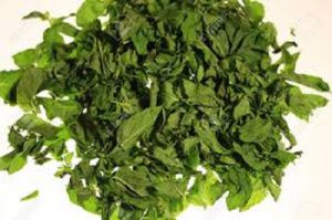 مرکز پخش نعناع خشک