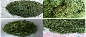 لیست قیمت سبزی خشک