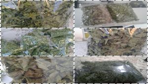 قیمت سبزی های خشک