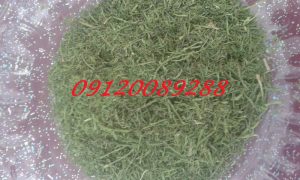 قیمت عمده سبزیجات خشک شده