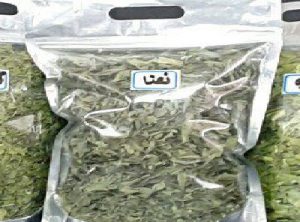 فروش نعناع خشک