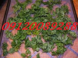 قیمت سبزی خشک جعفری