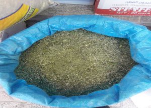 قیمت سبزی خشک عمده