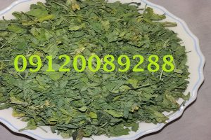 فروش شنبلیله خشک