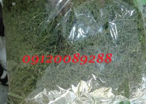 قیمت شوید خشک 98