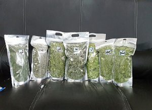 قیمت انواع سبزی خشک