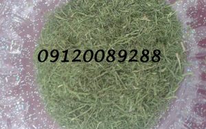 فروش سبزی خشک عمده