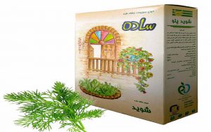 صادرات شوید خشک