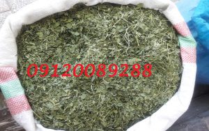 قیمت سبزیجات خشک سال 98