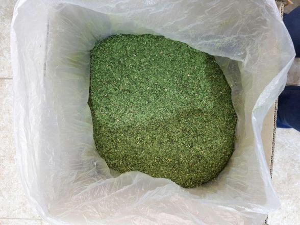 مهمترین مصارف سبزی خشک گشنیز