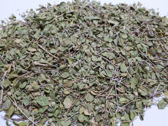 فروش انواع آویشن خشک شده