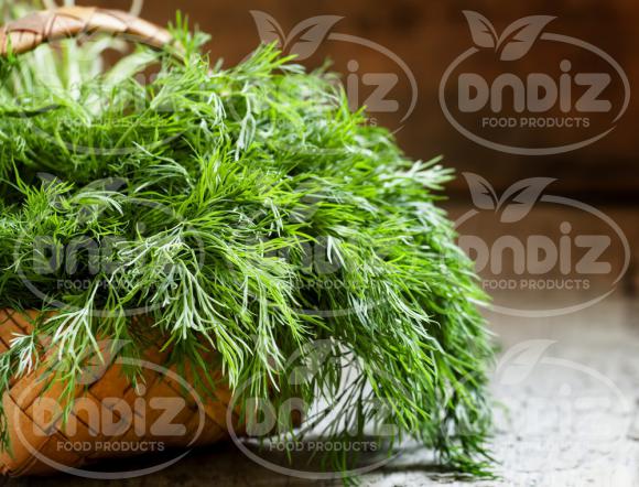 آشنایی با انواع خواص شوید