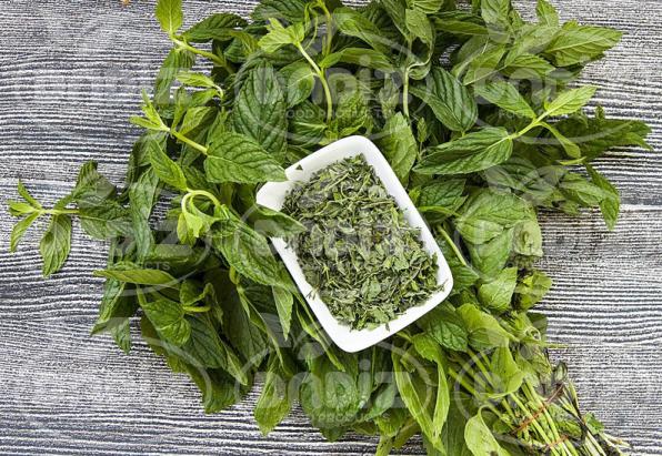 موارد مصرف نعنا خشک شده اعلا