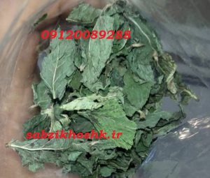 خرید سبزی نعناع خشک