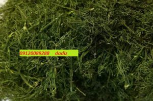 شوید خشک اعلا