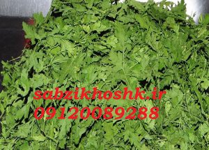 گشنیز خشک پفکی