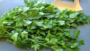 قیمت جعفری خشک