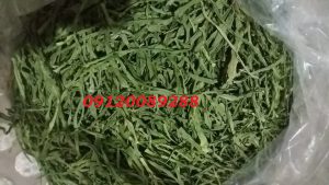 صادرات سبزی خشک به روسیه