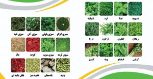 صادرات سبزی خشک به روسیه