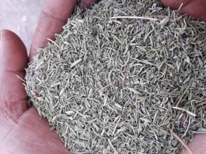 قیمت مرزه خشک