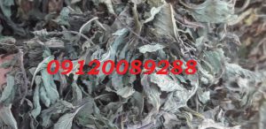 قیمت سبزی خشک نعناع