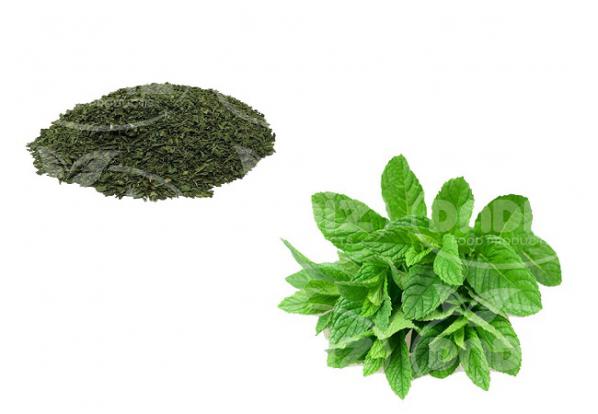 قیمت روز نعناع خشک درجه یک