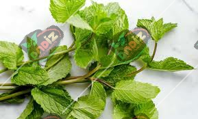 قیمت نعناع فلفلی خشک