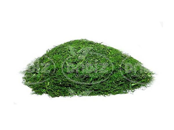 خرید ارزانترین انواع شوید خشک مرغوب