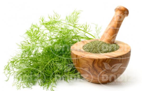 بررسی موارد استفاده سبزی خشک شوید